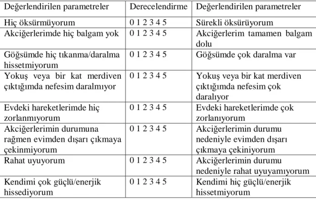 Çizelge 1.4. CAT-COPD Assessment Test