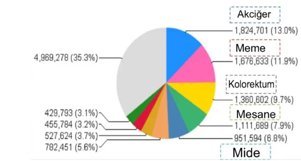 Şekil 1. Uluslararası kanser ajansı kanser dağılma grafiği( GLOBOCAN-2012)            (http://globocan.iarc.fr/Default.aspx) 