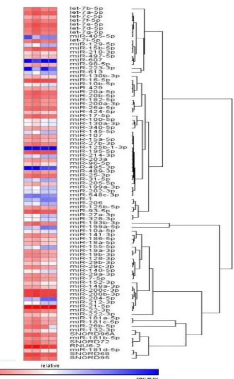 Şekil 6. MikroRNA panelimizin HeatMap şeması