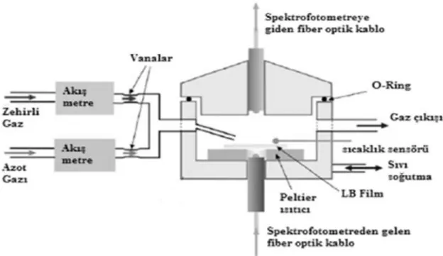 Şekil 1.12. NO 2  gaz sensörü çalışması için kullanılan optik düzenek (Richardson ve ark., 2006) 