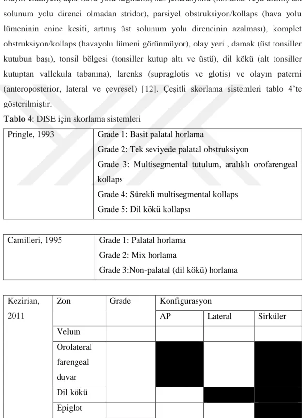 Tablo 4: DISE için skorlama sistemleri 