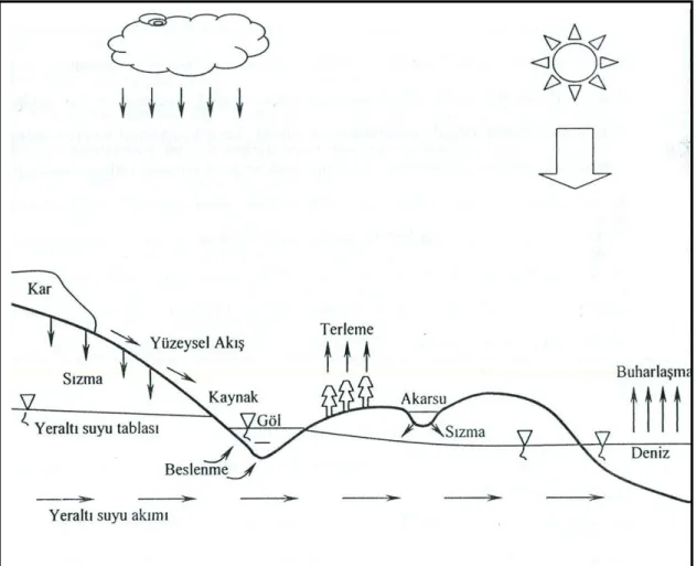 ġekil 2.1 Hidrolojik çevrimin baĢlıca elemanları (Canik, 1998). 