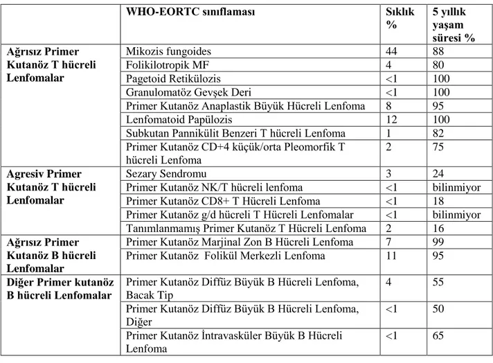 Tablo 7: Primer kutanöz lenfomalarda sıklık ve prognoz : (75)  WHO-EORTC sınıflaması  Sıklık  %  5 yıllık yaşam  süresi %  Ağrısız Primer  Kutanöz T hücreli  Lenfomalar  Mikozis fungoides   44  88 Folikilotropik MF 4 80  Pagetoid Retikülozis  &lt;1  100 