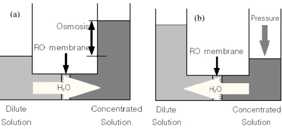 Figure 2.3 Concept of Osmosis and Reverse Osmosis Phenomena 