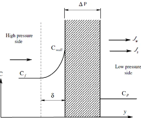 Figure 2.6 Concentration polarization representation at the wall of RO membrane 