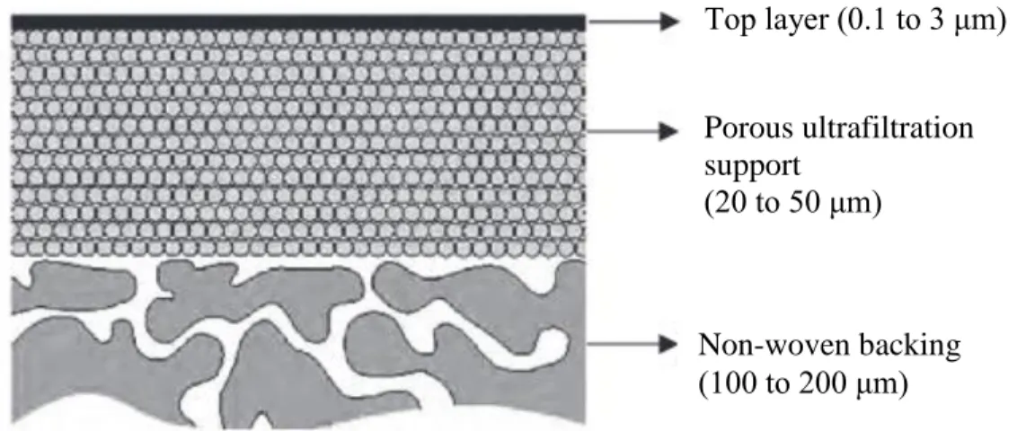 Figure 2.8: Schematic of a thin film composite membrane 