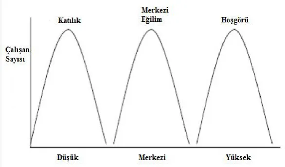 Şekil 15: Katı, Merkezi Eğilim ve Hoşgörülü Performans Değerlendirmeleri 