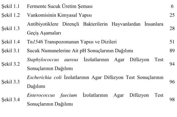 ġekil 1.1  Fermente Sucuk Üretim ġeması  6 