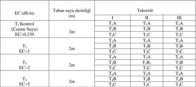 Şekil 3.3. Deneme deseni planı 