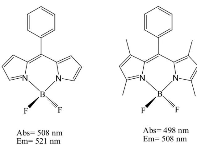 Şekil 1.6. 1,7 pozisyonlarındaki hacimli alkil substitüentlerin Aril Bodipy üzerine etkisi 