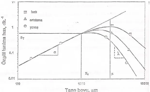 Şekil 2.5. Özgül kırılma hızının tane boyutu ile değişimi (Austin ve Ark., 1984).             
