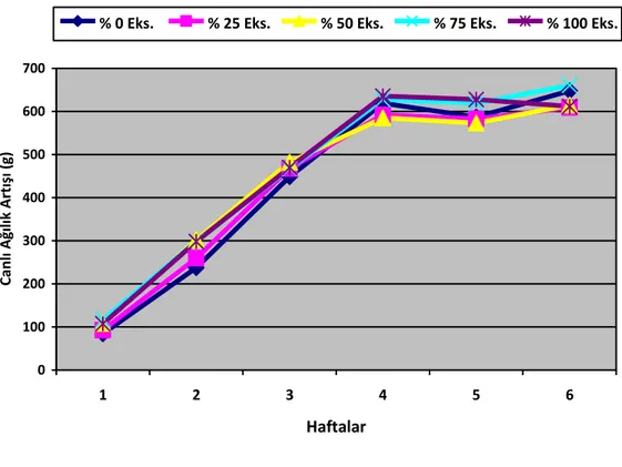 Şekil 4.2. Rasyonda farklı ekspander mısır seviyelerinin etlik piliçlerin haftalık ortalama canlı ağırlık  artışlarına etkisi (g/hayvan) 