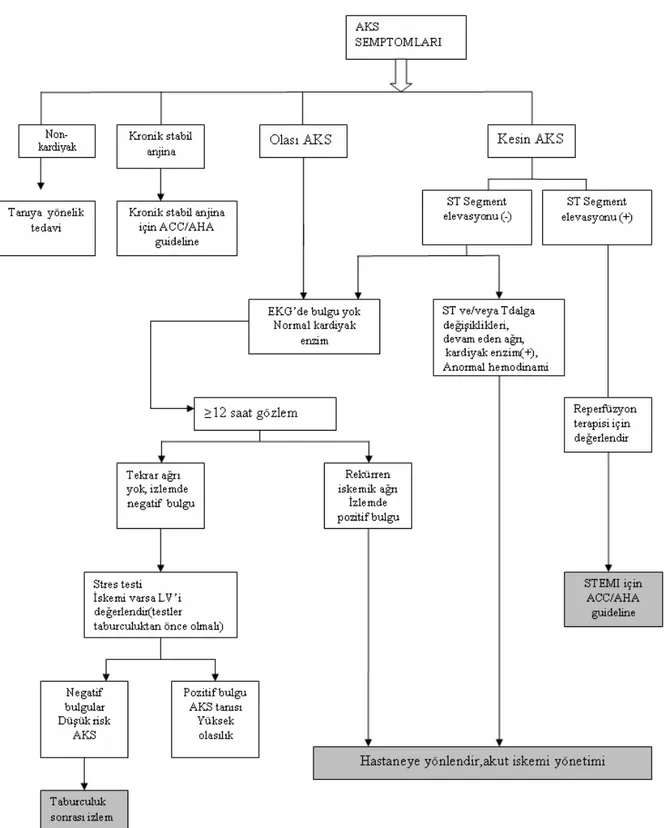 Şekil 2: AKS Tanı ve Tedavi Algoritması 