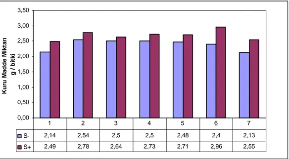 Şekil  4.3.  Kükürt  ve  besin  elementi  uygulamalarının  kuru  madde  verimi  (g  bitki -1 )  üzerine etkisi 