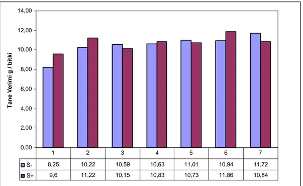 Şekil 4.4. Kükürt ve besin elementi uygulamalarının fasulye genotipinin tane verimi 