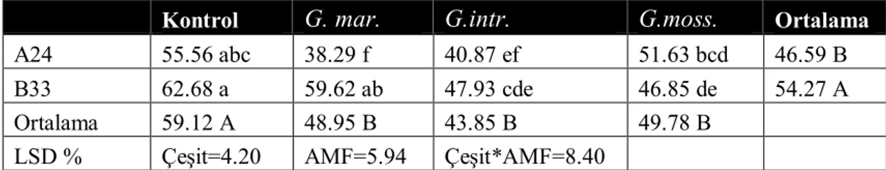 Çizelge 4. 3 Tuzlu ortam koşullarında arbuscular mikorizal  fungus uygulamalarının fide sürgün yaş  ağırlığına etkileri (g/fide) 