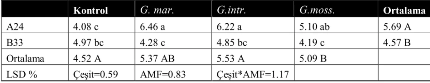 Çizelge 4. 4 Tuzlu  ortam koşullarında arbuscular mikorizal  fungus uygulamalarının fide kök yaş  ağırlığına etkileri (g/fide) 