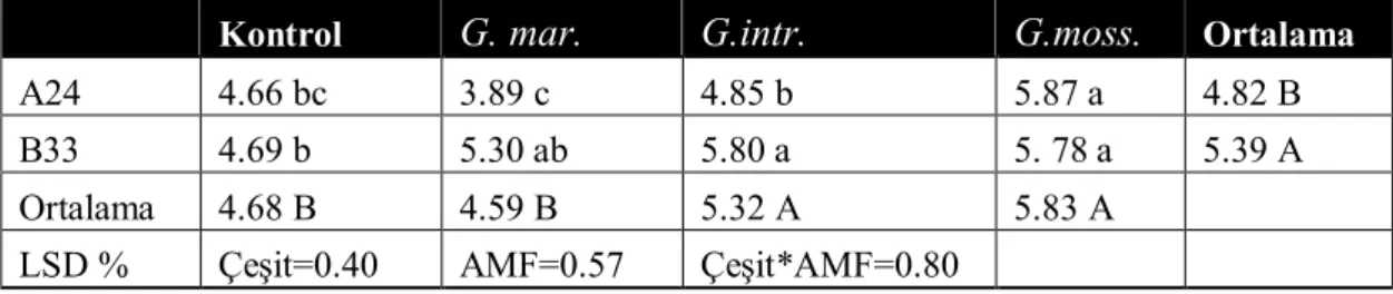 Çizelge 4. 5 Tuzlu ortam koşullarında arbuscular mikorizal  fungus uygulamalarının fide sürgün  kuru ağırlığına etkileri (g/fide) 