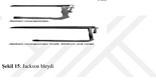 Şekil 15: Jackson bleydi 