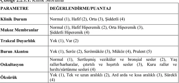 Çizelge 2.2.1.1. Klinik Skorlama 