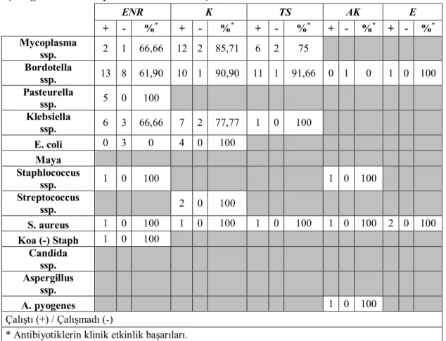 Çizelge 3.4.1. Antibiyotiklerin tedavi sonuçları. 