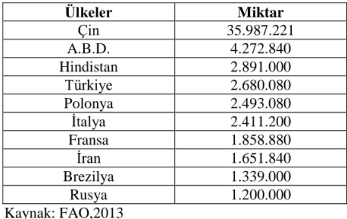 Çizelge 1.3. 2011 yılı ülkelere göre elma üretim miktarı (Anonim, 2013c)  Ülkeler  Miktar  Çin  35.987.221  A.B.D