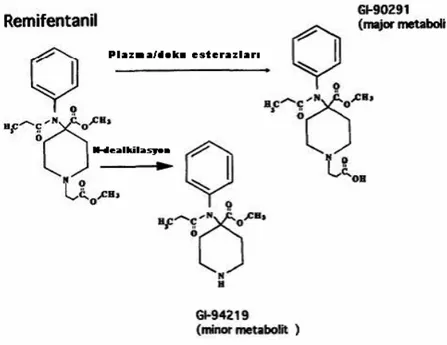 Şekil 2. Remifentanil ve metabolitleri  