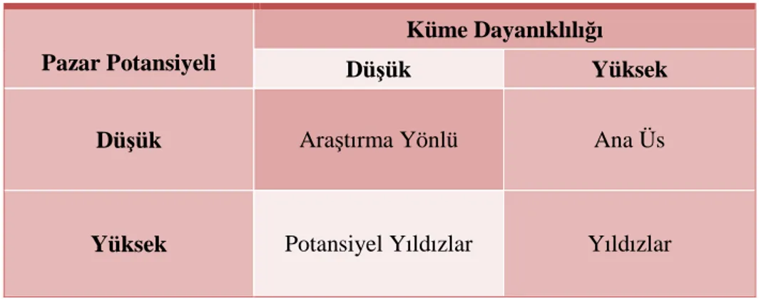 Tablo 1.1: Küme Tipolojisi 