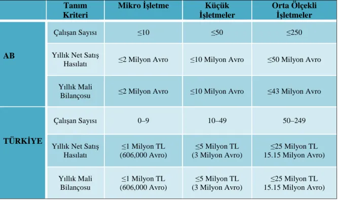 Tablo 1.2: AB ve Türkiye’deki KOBİ Tanımı       (Tüm Sektörler İtibariyle)  Tanım  Kriteri  Mikro İşletme  Küçük  İşletmeler  Orta Ölçekli İşletmeler  AB  Çalışan Sayısı  ≤10  ≤50  ≤250 