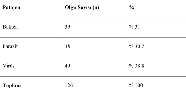 Tablo 4.1.  Akut gastroenterit nedenleri 