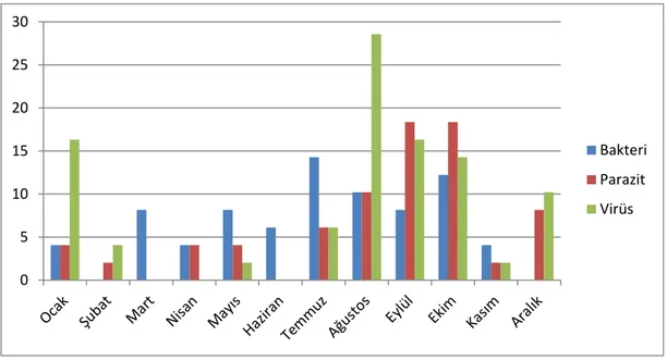 Şekil 4.2. Bakteriyel, paraziter ve viral AGE’lerin mevsimlere göre dağılımı