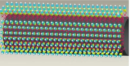 Şekil 2.11. Yüzey aktifleyici madde ile sarılmış karbon nanotübe ait şematik gösterimi (Geng ve ark