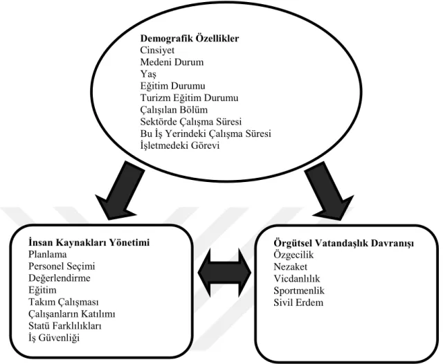 Şekil 1. Araştırmanın Modeli 