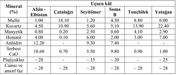 Tablo 1.10 Türkiye’deki bazı UK’lerin mineralojik kompozisyonları  Uçucu kül 