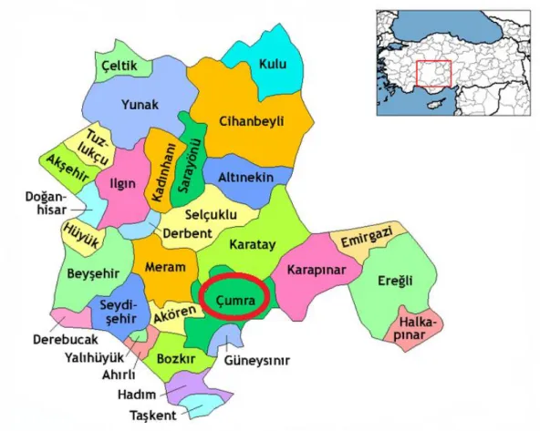 Şekil 3.1. Deneme alanının yeri 