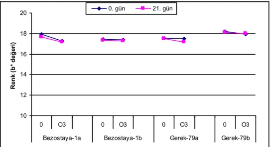 ġekil 4.8. Kepeğin sarılık (b*) değeri üzerine etkili “Dinlendirme süresi x buğday çeşidi x  ozon uygulaması” interaksiyonu 