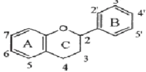 Şekil 2.4. Flavonoidlerin genel yapısı (Liu, 2004) 