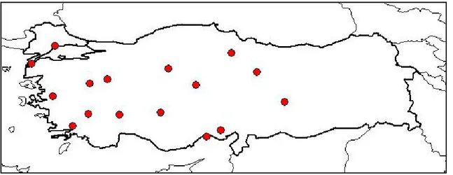 Şekil 2.6. Acanthus hirsutus’un Türkiye’de yayılışı 