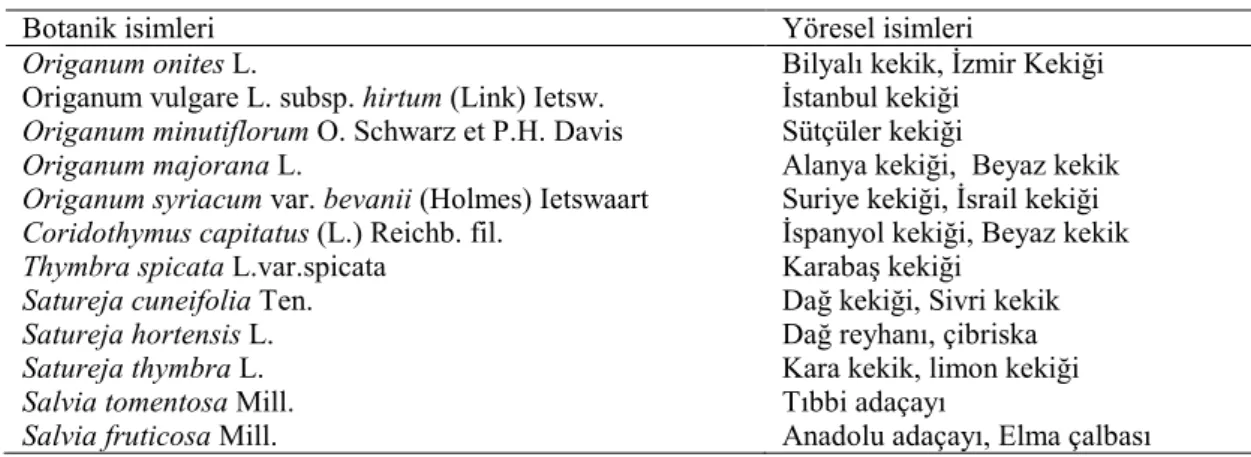 Çizelge 3.1.1. Kullanılan baharat ve çay bitki türlerinin botanik ve yöresel isimleri 