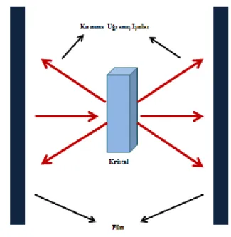 Şekil 7. Laue yöntemi şematik gösterimi. 