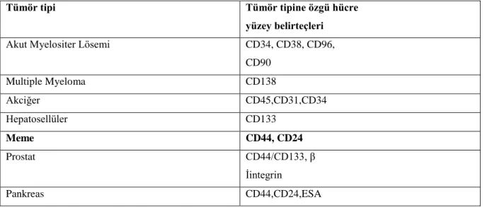 Tablo 2.4.1. 1.Dokuya özgü kanser kök hücre belirteçleri 