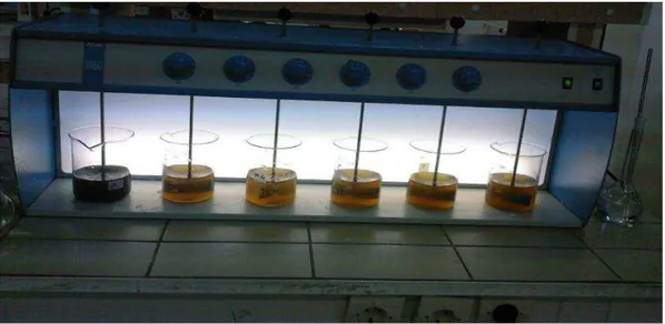 Şekil 3.3. Deneysel çalışmalarda kullanılan jar test düzeneği 