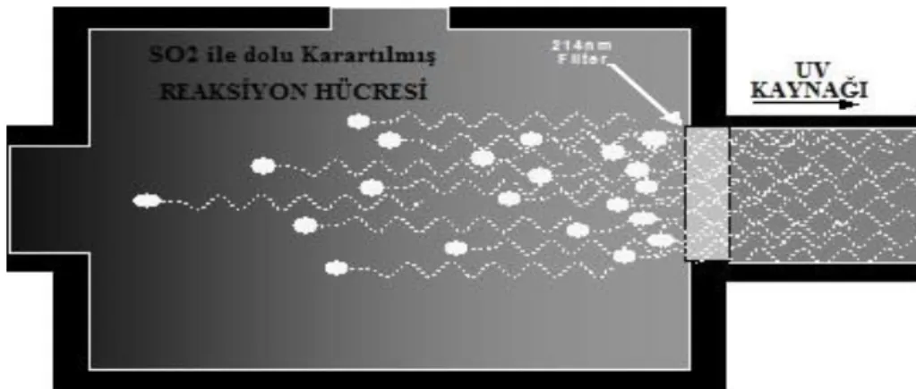 Şekil 3.4 UV Absorpsiyonu 