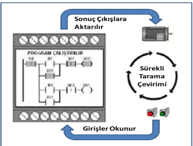 Şekil 3.1. PLC tarama çevrimi 