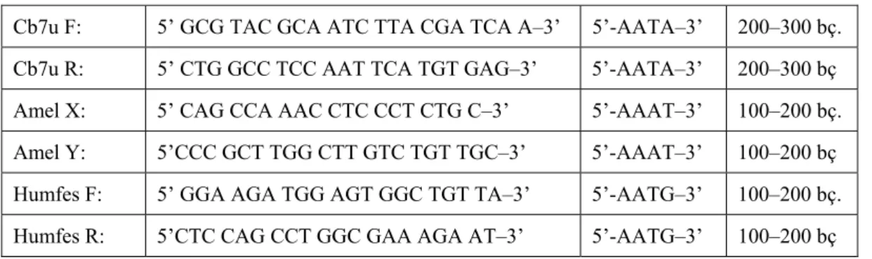 Çizelge 3.3. PZR’de kullanılan primerler 