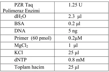 Çizelge 3.5. Amelogenin primeri için PZR koşulları     PZR Taq  Polimeraz Enzimi  1.25 U  dH 2 O 2.3 μl   BSA 0.2 μl   DNA 5  ng  Primer  (60 pmol)  0.2μM  MgCl 2  1 μl   KCl 25 μl   dNTP 0.8  mM  Toplam hacim  25 μl  