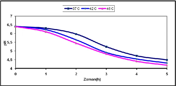 ġekil  4.1  Lactobacillus  delbrueckii  ssp.  bulgaricus  suĢunun  farklı  sıcaklık  uygulamalarına bağlı pH değiĢim grafiği 
