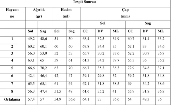 Çizelge 3.1. Tespit öncesi ve tespit sonrası elde edilen veriler. 