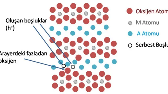 Şekil 2.8. AMO 2  latiste ara-yere yerleşen fazladan oksijenin iki elektronu tutarak boşluk (h + ) oluşturması  (Banerjee ve Chattopadhyay, 2005) 