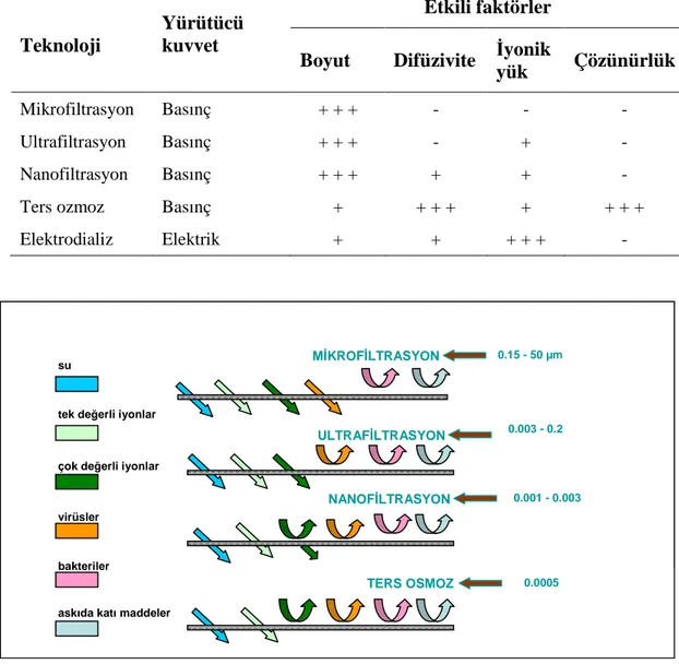 Çizelge 4.1. Membran proseslerinde yürütücü kuvvet ve ayırma işleminde etkili olan faktörler 